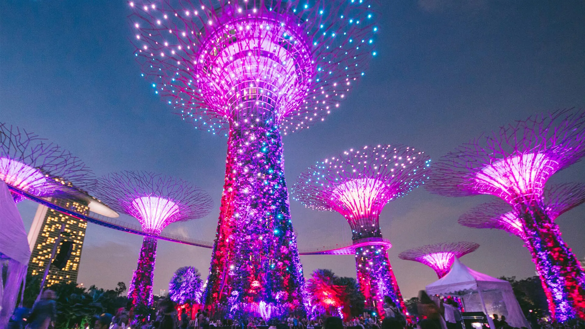 Gardens By The Bay Super Tree Observatory